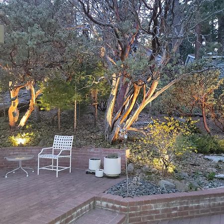 Casa De Los Arboles! Delight & Solitude Abound! Pine Cove Exterior foto