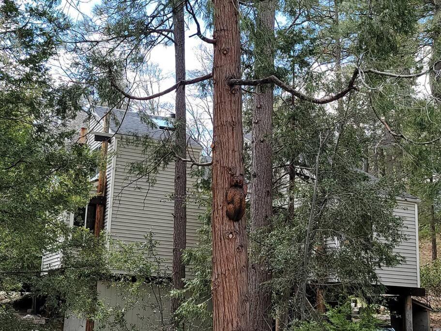 Casa De Los Arboles! Delight & Solitude Abound! Pine Cove Exterior foto